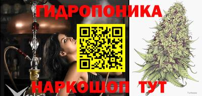 скорость Гагарин
