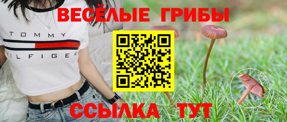 Амфетамин   Меф кристаллы  Alpha-PVP СК кристаллы  Конопля  Цена  NBOMe  Гашиш  Сертолово  MDMA  Вход с VPN 
