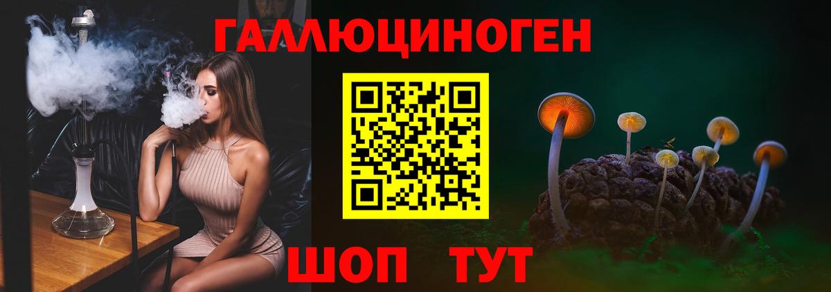 Псилоцибиновые грибы мухоморы Сертолово